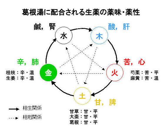 ミューズ勃起不全治療費