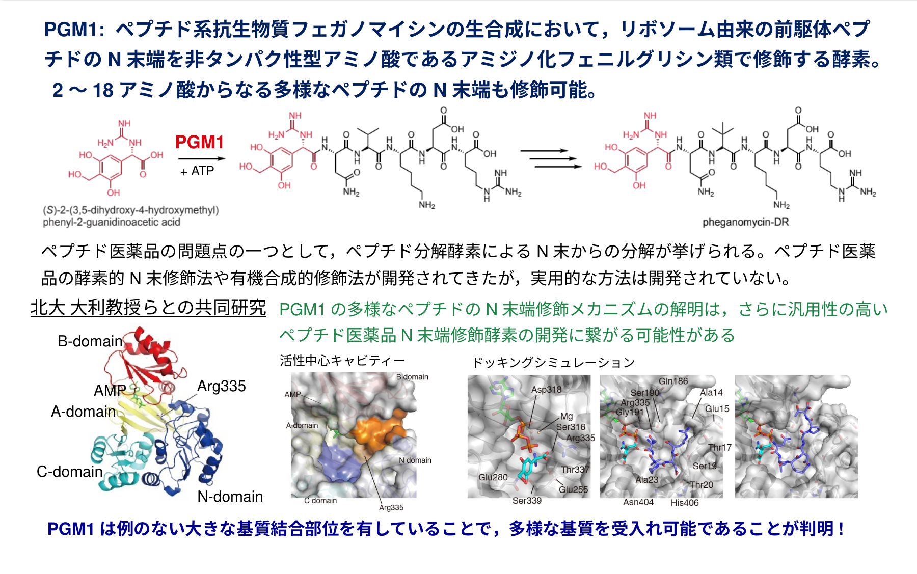 PGM1研究の成果詳細図
