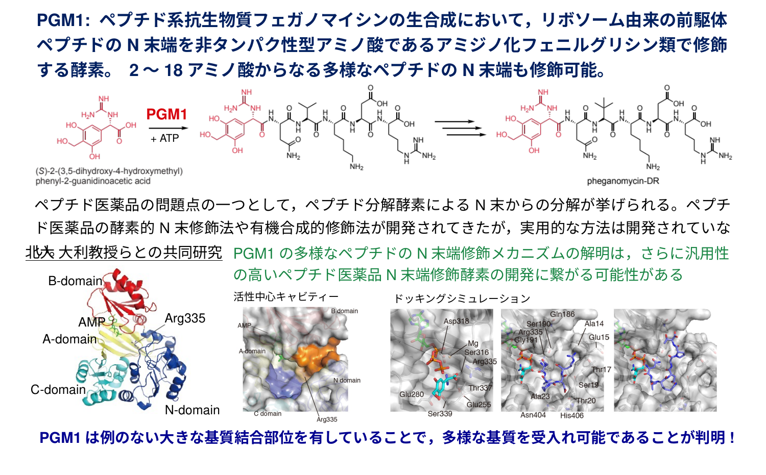 PGM1研究の成果詳細図
