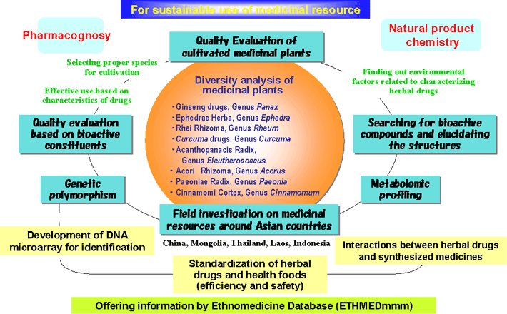 Activities of Division of Pharmacognosy